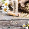 i fiori di bach